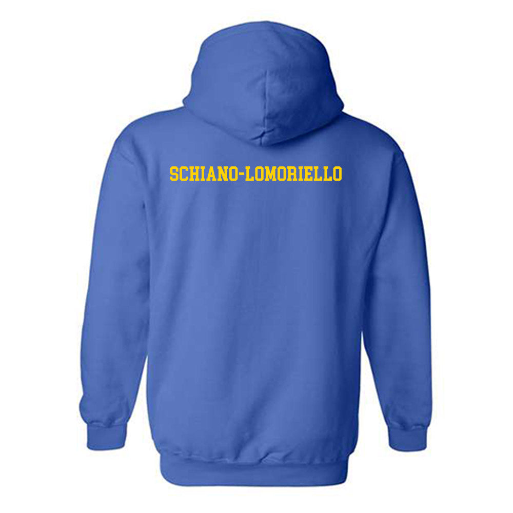 Delaware - Dance Team : Martina Schiano-Lomoriello - Fashion Shersey Hooded Sweatshirt-1