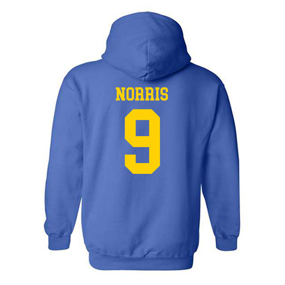 Delaware - NCAA Women's Volleyball : Dylan Norris - Fashion Shersey Hooded Sweatshirt-1