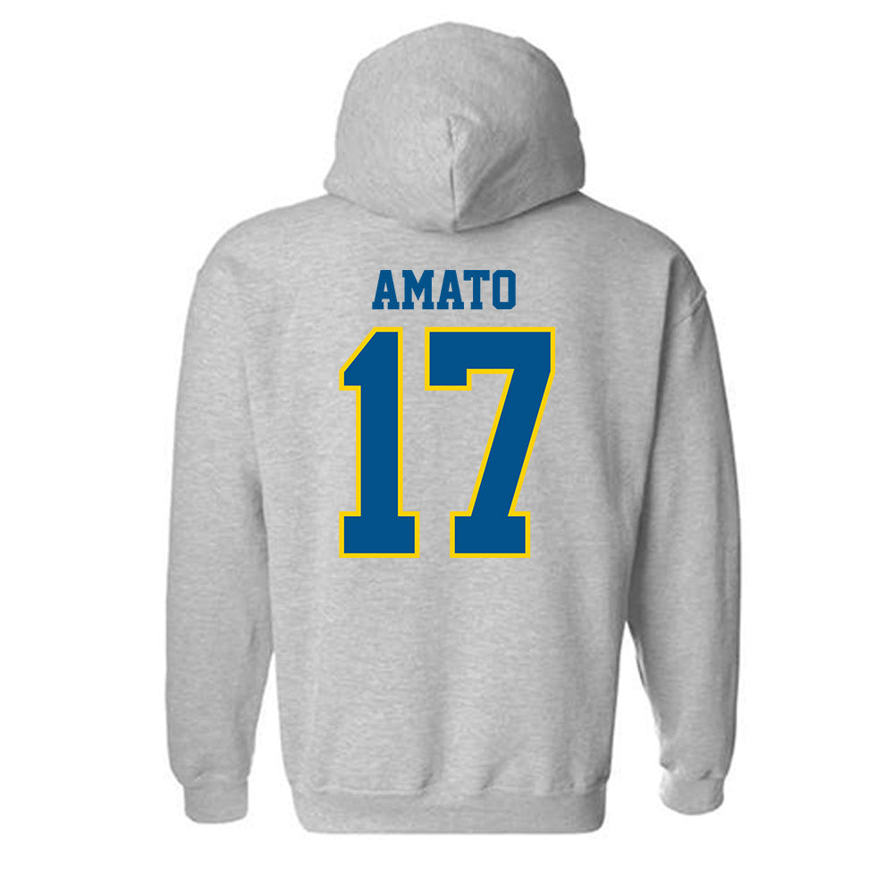 Delaware - NCAA Baseball : Andrew Amato - Sports Shersey Hooded Sweatshirt