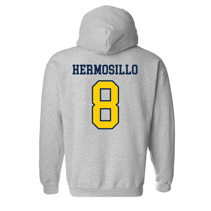 UCSD - NCAA Softball : Lily Hermosillo - Sports Shersey Hooded Sweatshirt