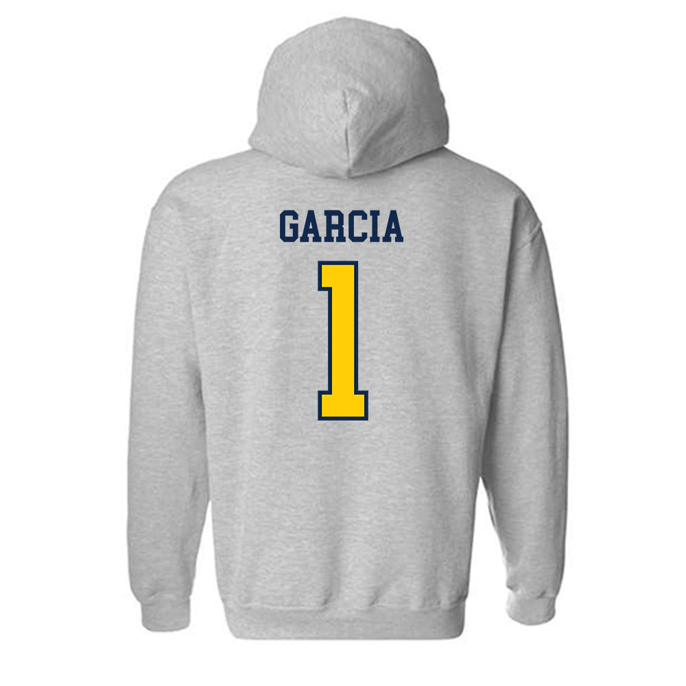 UCSD - NCAA Softball : Haley Garcia - Sports Shersey Hooded Sweatshirt-1