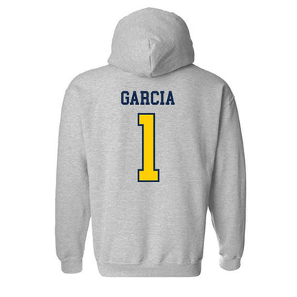 UCSD - NCAA Softball : Haley Garcia - Sports Shersey Hooded Sweatshirt-1