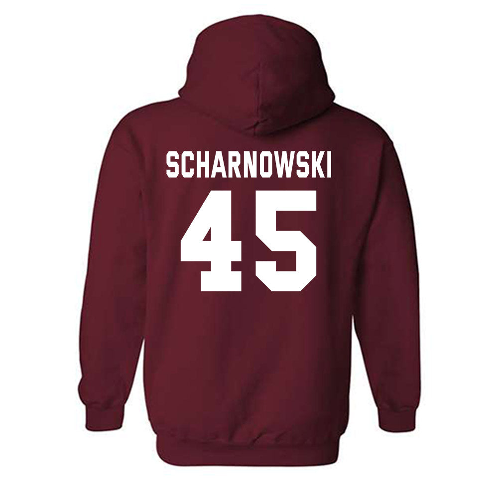 Alabama - NCAA Men's Basketball : Max Scharnowski - Hooded Sweatshirt-1