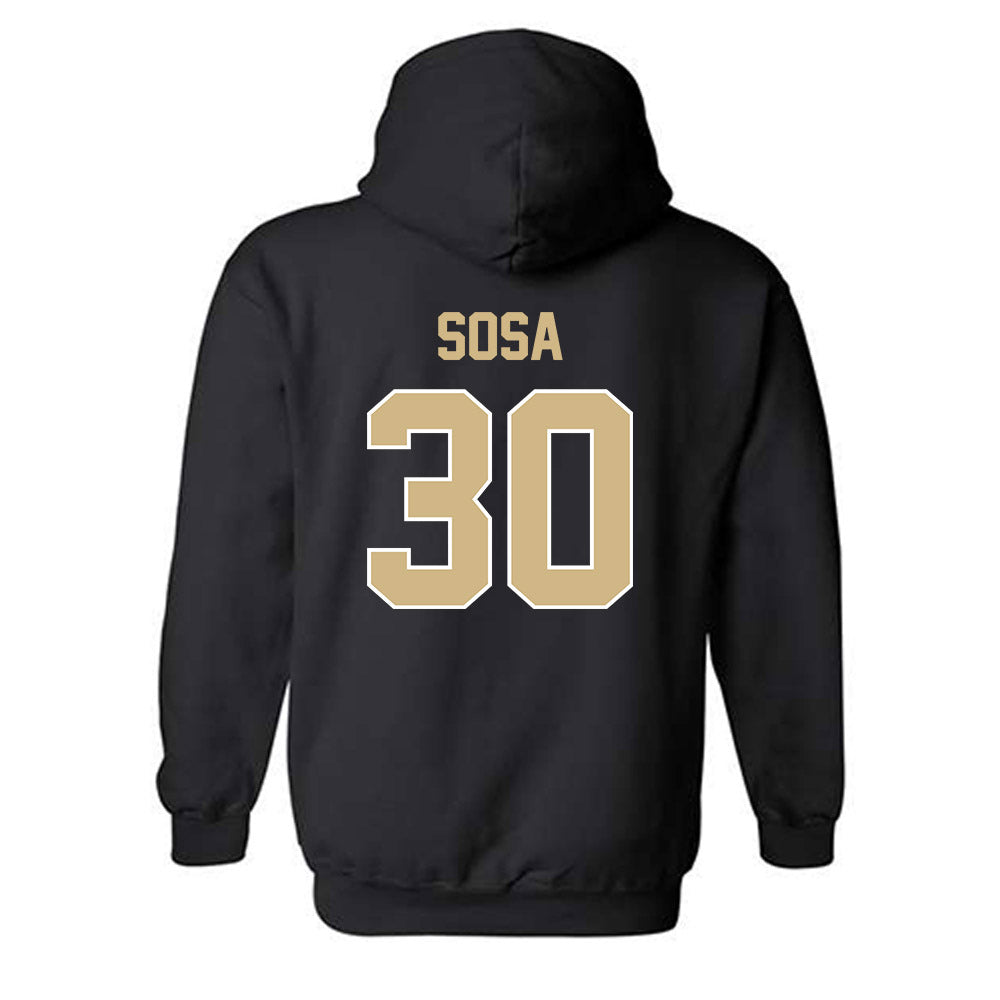 Purdue - NCAA Softball : Gabriela Sosa - Classic Shersey Hooded Sweatshirt-1