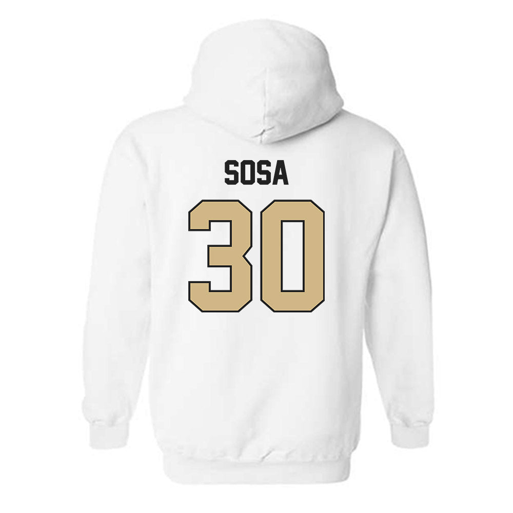 Purdue - NCAA Softball : Gabriela Sosa - Classic Shersey Hooded Sweatshirt-1