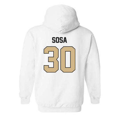 Purdue - NCAA Softball : Gabriela Sosa - Classic Shersey Hooded Sweatshirt-1
