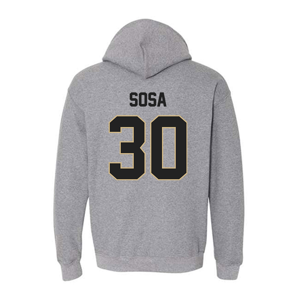 Purdue - NCAA Softball : Gabriela Sosa - Sports Shersey Hooded Sweatshirt-1