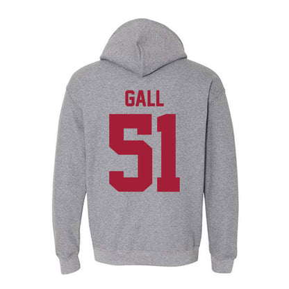 Stanford - NCAA Softball : Ava Gall - Sports Shersey Hooded Sweatshirt-1