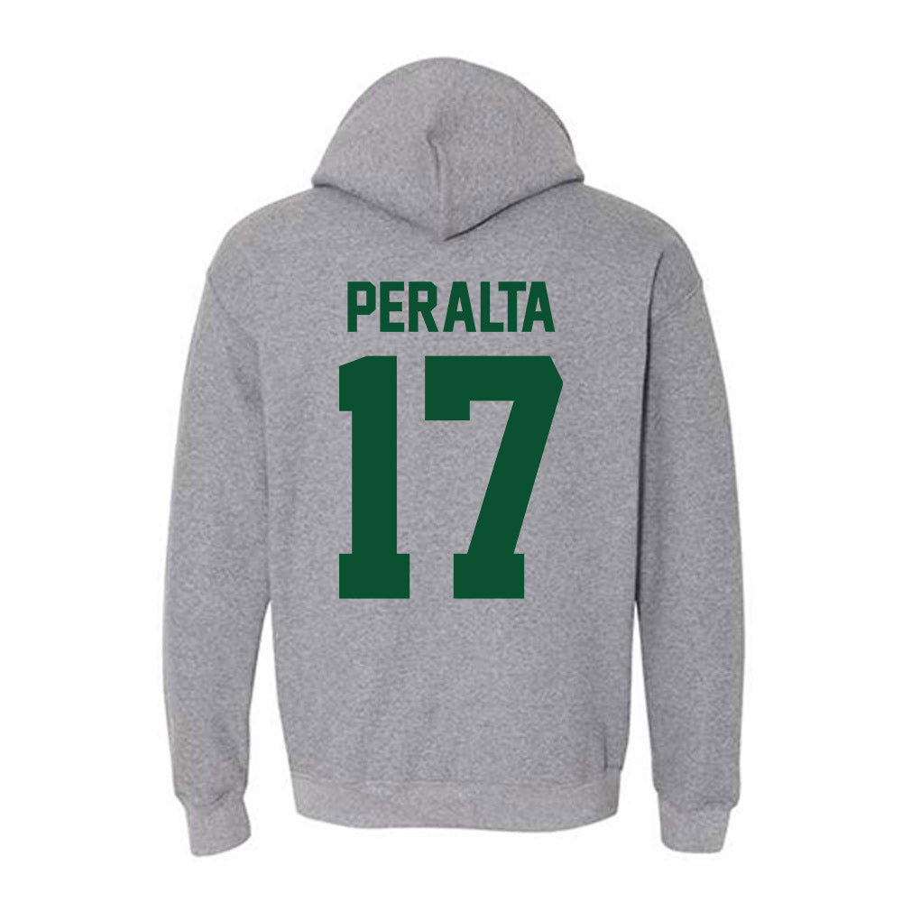 Miami - NCAA Baseball : Fabio Peralta - Classic Shersey Hooded Sweatshirt-1