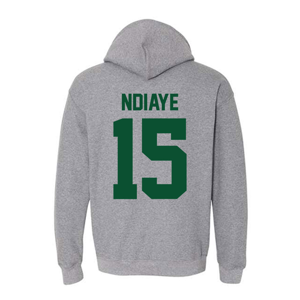 Miami - NCAA Women's Volleyball : Amina Ndiaye - Classic Shersey Hooded Sweatshirt-1