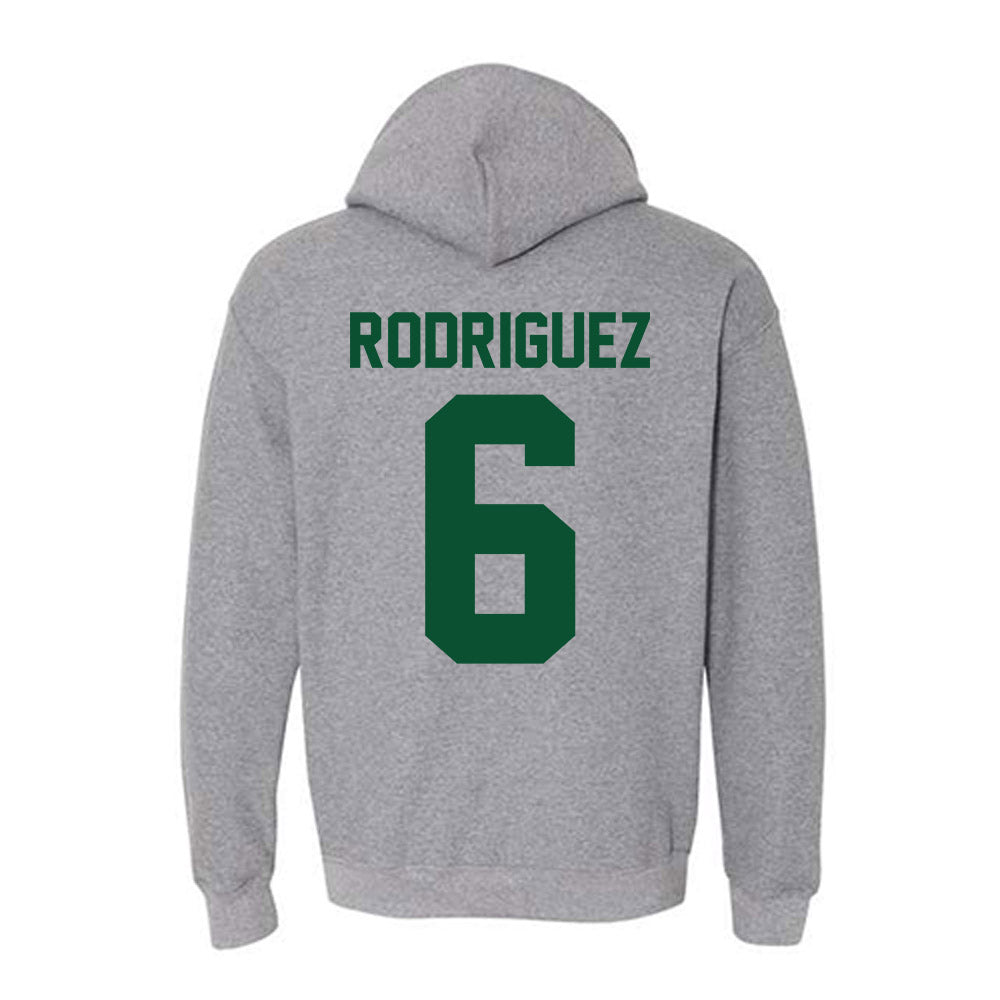 Miami - NCAA Women's Volleyball : Ariana Rodriguez - Classic Shersey Hooded Sweatshirt