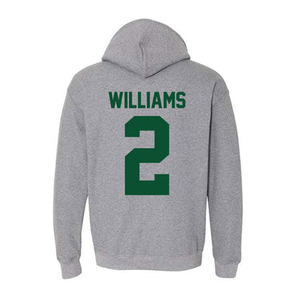 Miami - NCAA Baseball : Derek Williams - Classic Shersey Hooded Sweatshirt-1