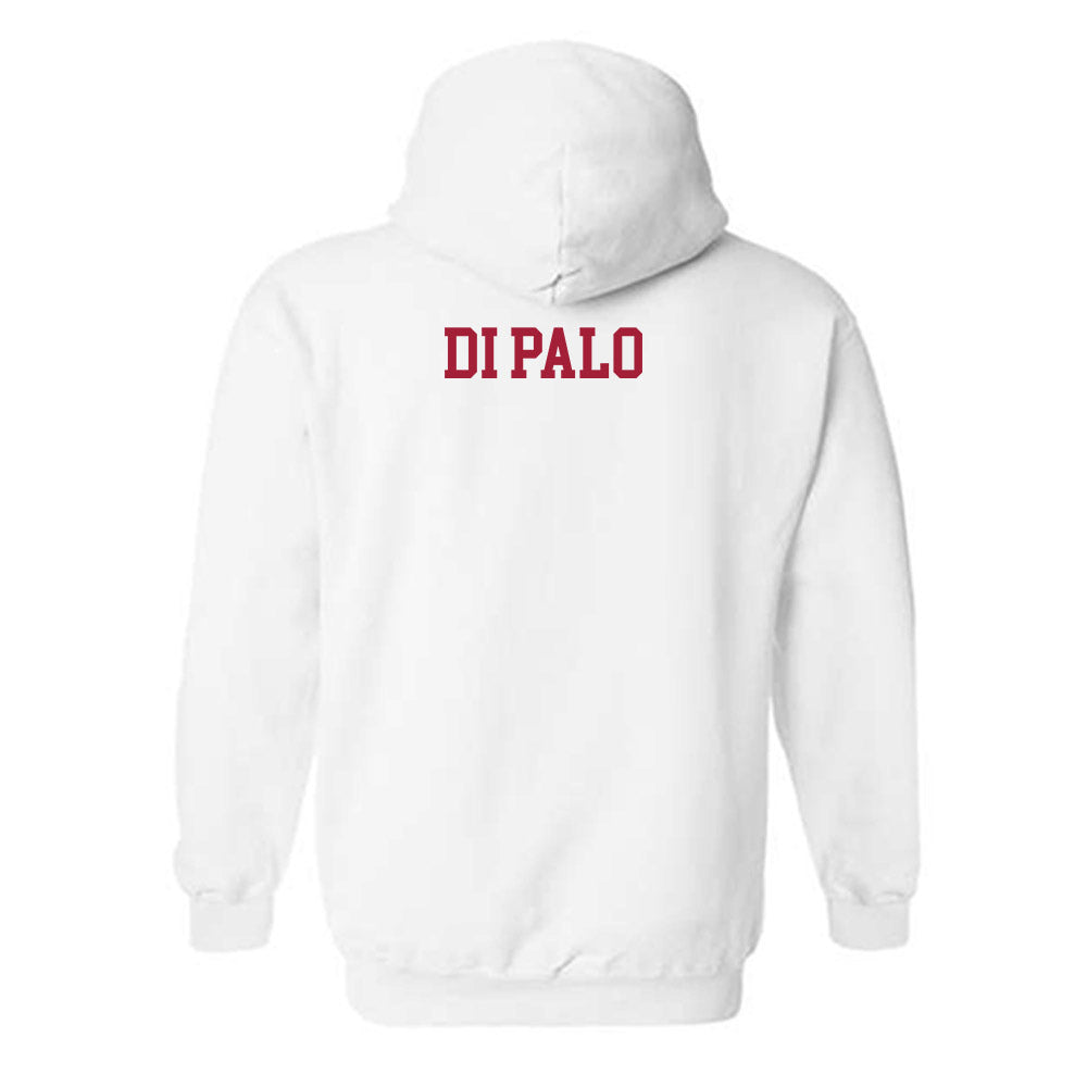 WSU - NCAA Women's Swimming & Diving : Angela Di Palo - Classic Shersey Hooded Sweatshirt