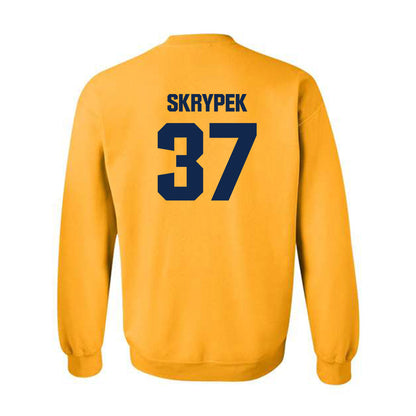 UW Eau Claire - NCAA Baseball : Aaron Skrypek - Classic Shersey Crewneck Sweatshirt