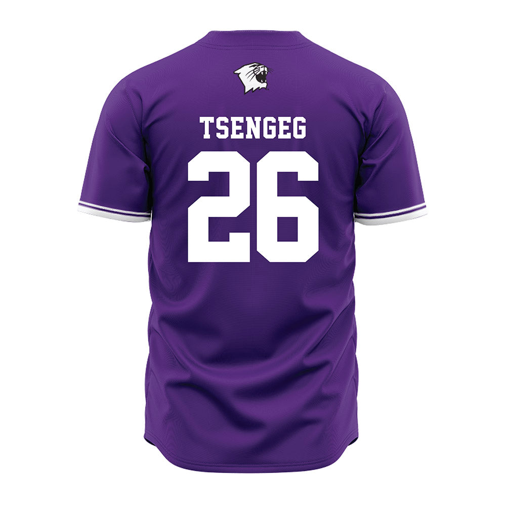Northwestern - NCAA Baseball : Amar Tsengeg - Purple Baseball Jersey
