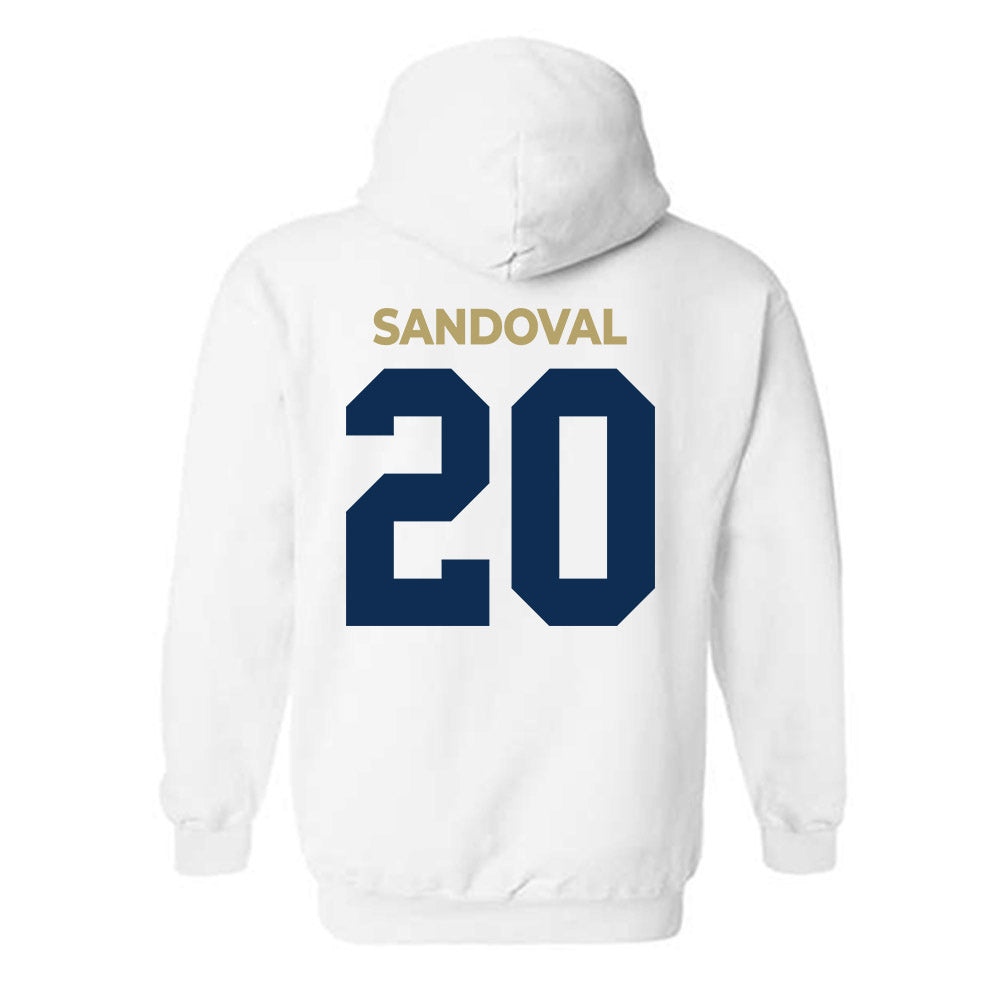 UC Davis - NCAA Women's Soccer : Karla Sandoval - Classic Shersey Hooded Sweatshirt-1