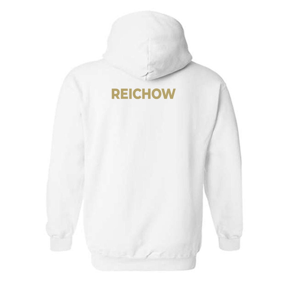UC Davis - NCAA Women's Gymnastics : Avah Reichow - Classic Shersey Hooded Sweatshirt-1