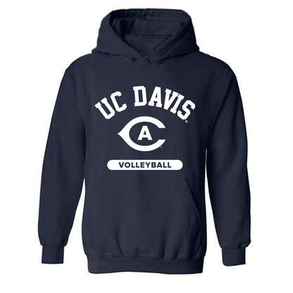 UC Davis - NCAA Women's Volleyball : Ally Chandler - Classic Shersey Hooded Sweatshirt-0