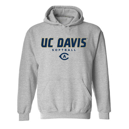 UC Davis - NCAA Softball : Naomi Kalanetra - Classic Shersey Hooded Sweatshirt-0