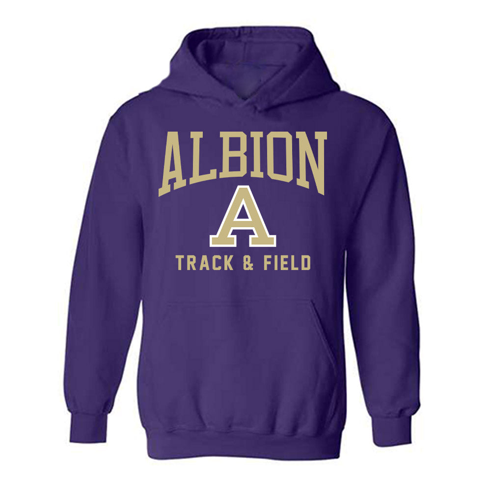 Albion - NCAA Men's Track & Field : Sam VanderWerf - Classic Shersey Hooded Sweatshirt-0