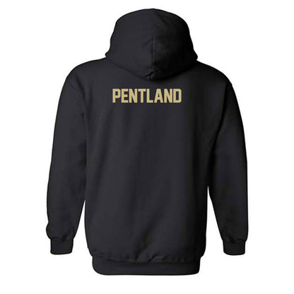 Albion - NCAA Men's Swimming & Diving : Will Pentland - Classic Shersey Hooded Sweatshirt-1