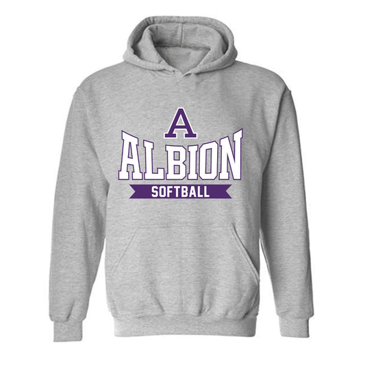 Albion - NCAA Softball : Sydney Schoenborn - Classic Shersey Hooded Sweatshirt-0