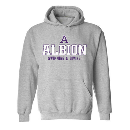 Albion - NCAA Women's Swimming & Diving : Kaitlyn Kreb - Classic Shersey Hooded Sweatshirt-0
