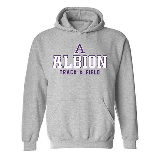 Albion - NCAA Men's Track & Field : Sam VanderWerf - Classic Shersey Hooded Sweatshirt-0