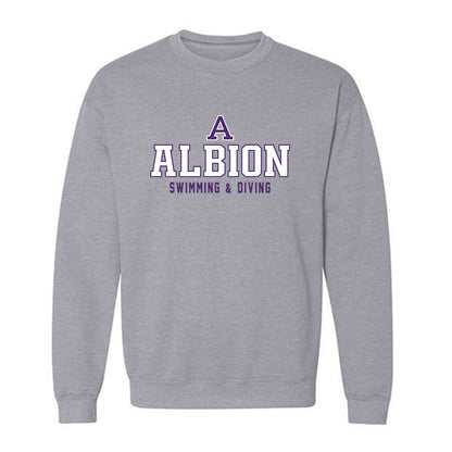 Albion - NCAA Men's Swimming & Diving : Will Pentland - Classic Shersey Crewneck Sweatshirt-0