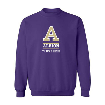 Albion - NCAA Men's Track & Field : Sam VanderWerf - Classic Fashion Shersey Crewneck Sweatshirt-0