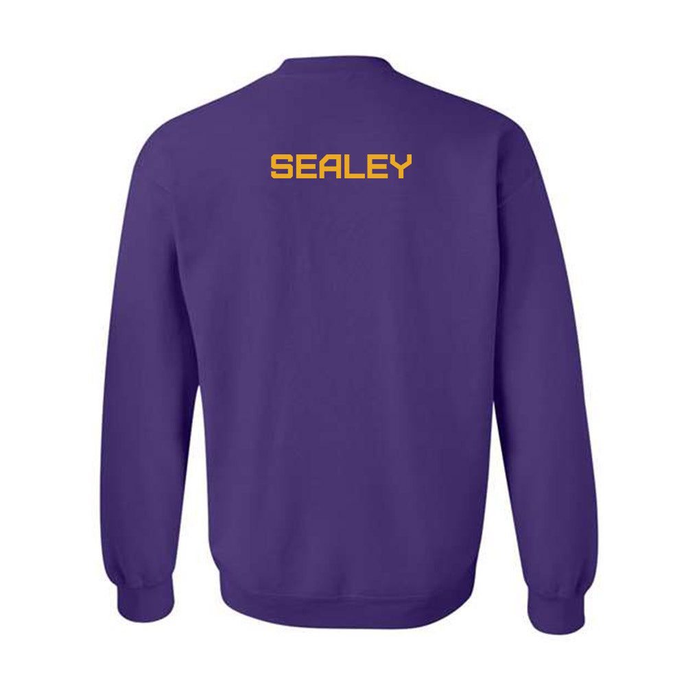 Albany - NCAA Men's Track & Field : Nicholos Sealey - Classic Shersey Crewneck Sweatshirt-1