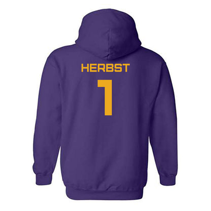 Albany - NCAA Baseball : Aaron Herbst - Classic Shersey Hooded Sweatshirt