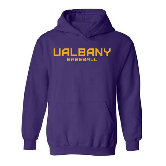 Albany - NCAA Baseball : Levi McAllister - Classic Shersey Hooded Sweatshirt