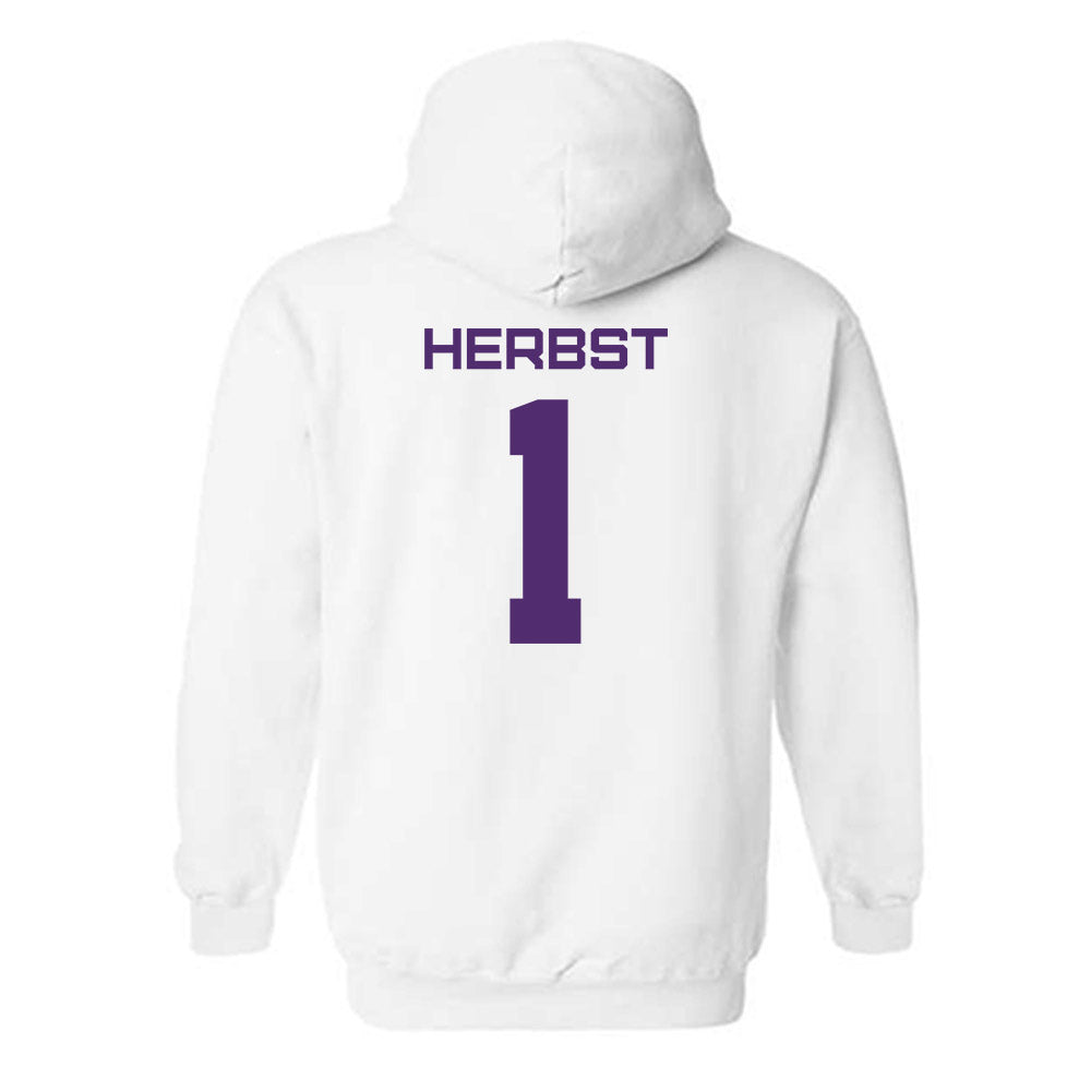 Albany - NCAA Baseball : Aaron Herbst - Classic Shersey Hooded Sweatshirt