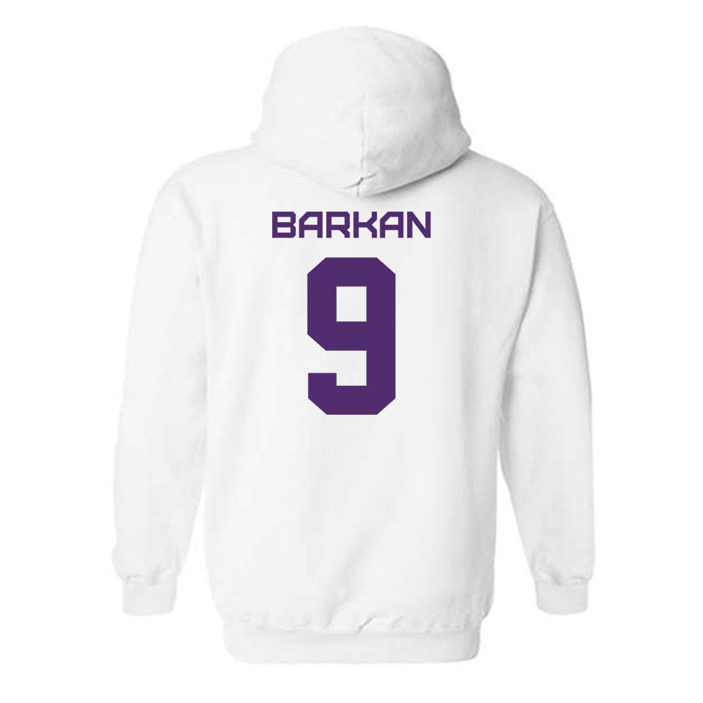 Albany - NCAA Men's Soccer : David Barkan - Classic Shersey Hooded Sweatshirt-1