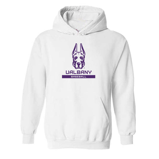 Albany - NCAA Baseball : Anthony Scarabino - Classic Shersey Hooded Sweatshirt