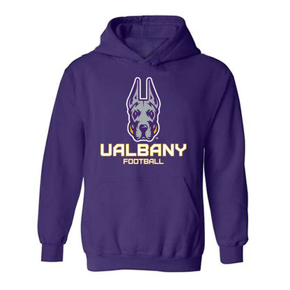 Albany - NCAA Football : Kylyn Macklin - Classic Shersey Hooded Sweatshirt-0