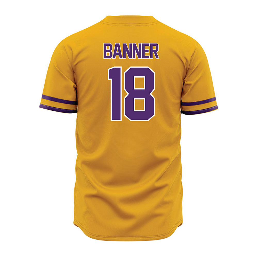 Albany - NCAA Baseball : Dylan Banner - Gold Jersey