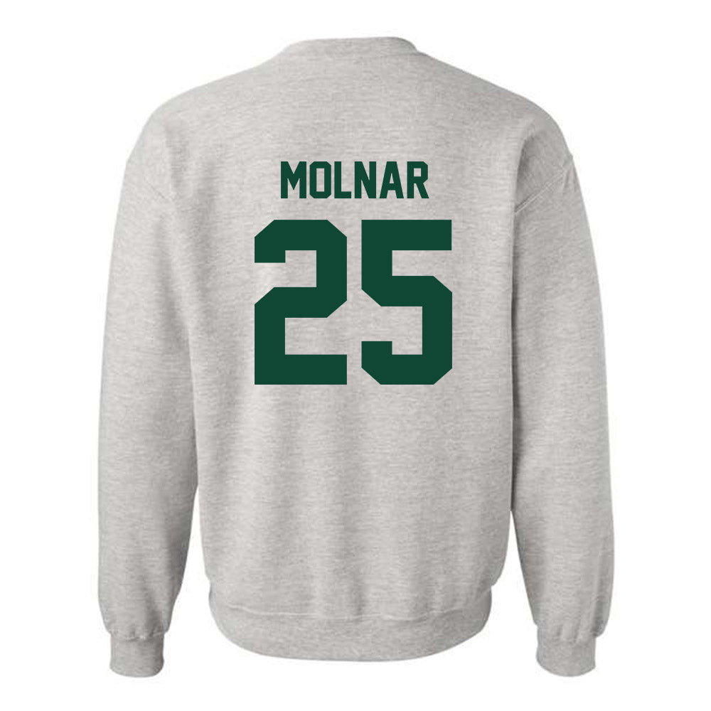 Ohio - NCAA Football : Michael Molnar - Sports Shersey Crewneck Sweatshirt