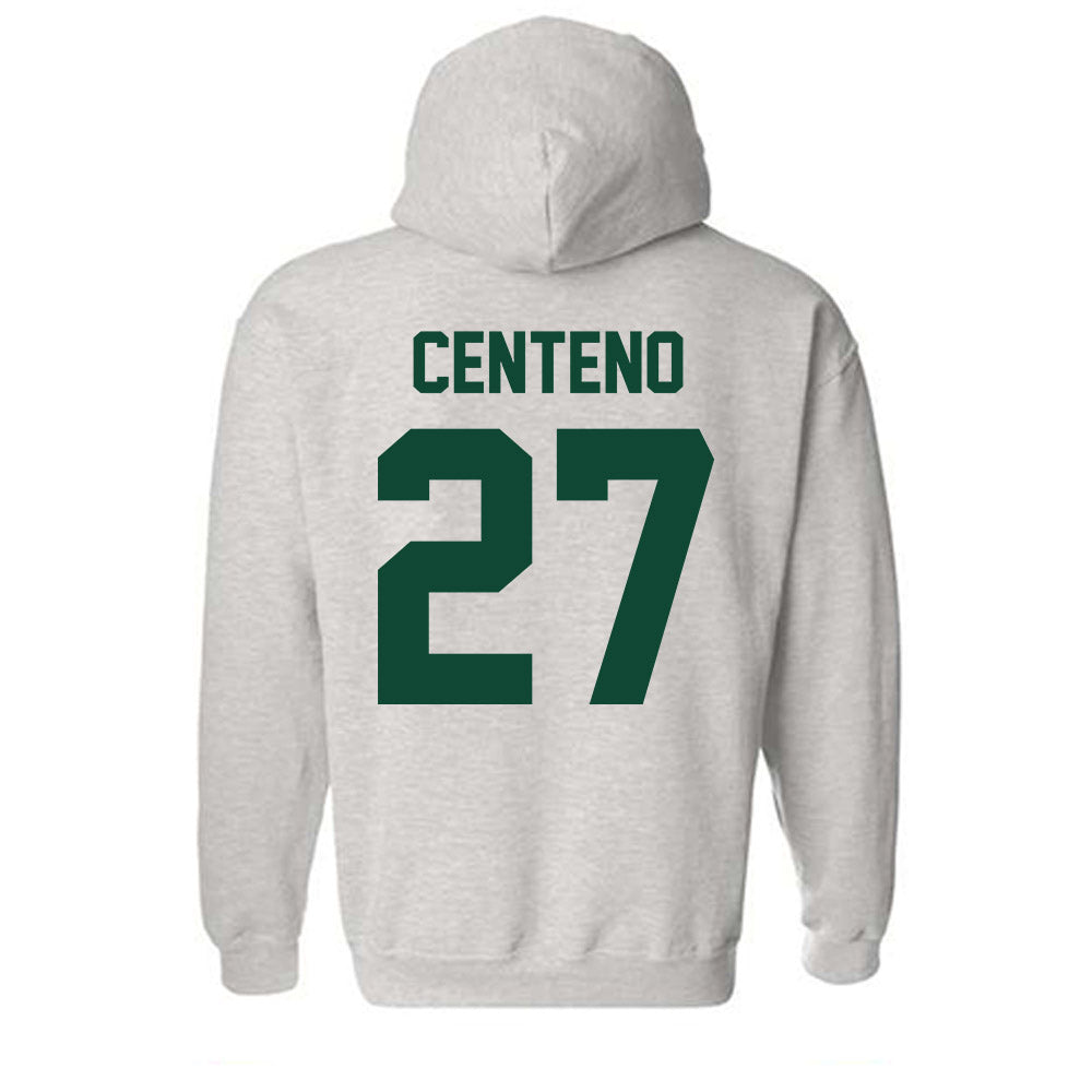 Ohio - NCAA Women's Soccer : Alivia Centeno - Sports Shersey Hooded Sweatshirt-1