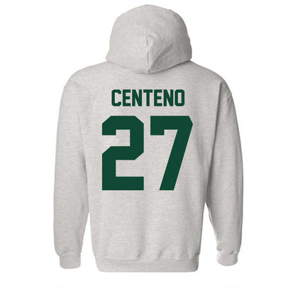 Ohio - NCAA Women's Soccer : Alivia Centeno - Sports Shersey Hooded Sweatshirt-1