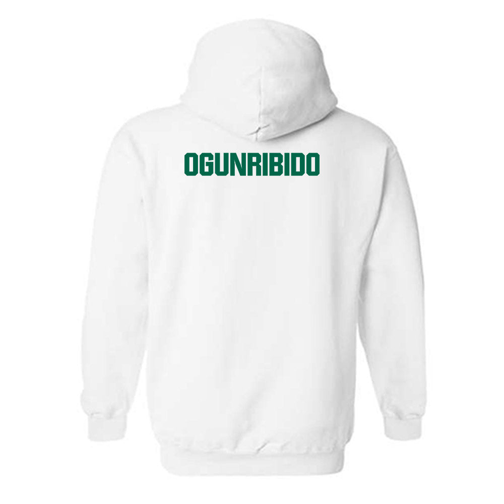 Illinois Wesleyan - NCAA Women's Track & Field : Imani Ogunribido - Classic Shersey Hooded Sweatshirt-1