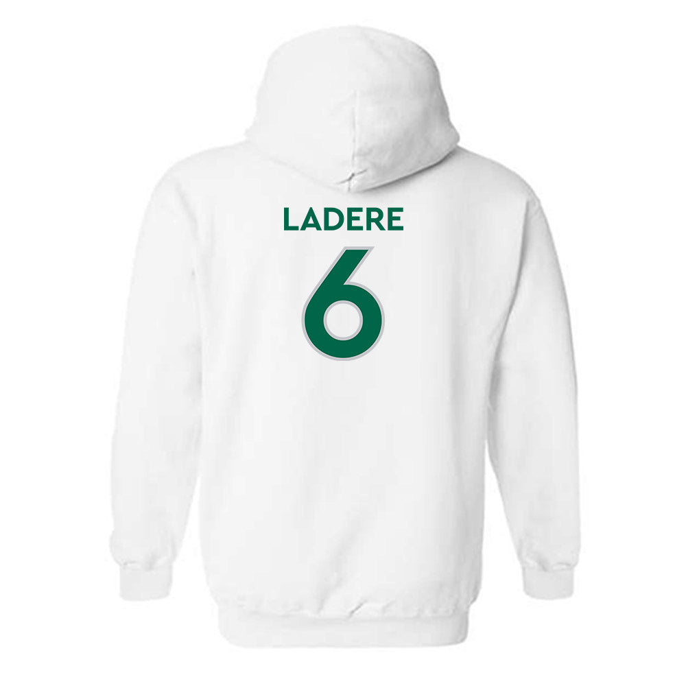 Illinois Wesleyan - NCAA Football : Gavin LaDere - Classic Shersey Hooded Sweatshirt-1