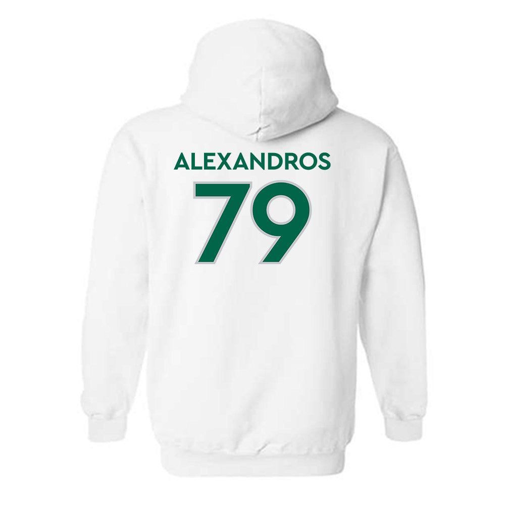 Illinois Wesleyan - NCAA Football : Christos Alexandros - Classic Shersey Hooded Sweatshirt-1