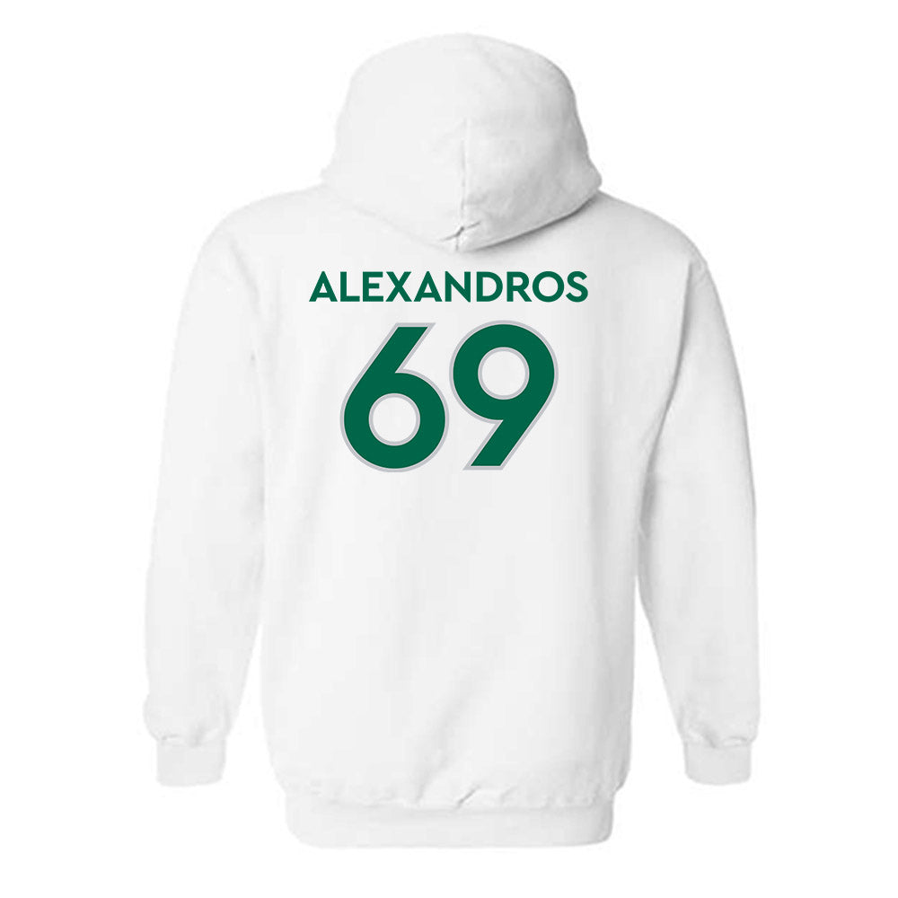 Illinois Wesleyan - NCAA Football : Nici Alexandros - Classic Shersey Hooded Sweatshirt-1