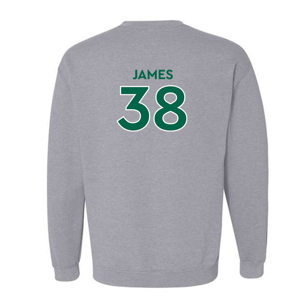 Illinois Wesleyan - NCAA Football : Torian James - Classic Shersey Crewneck Sweatshirt-1