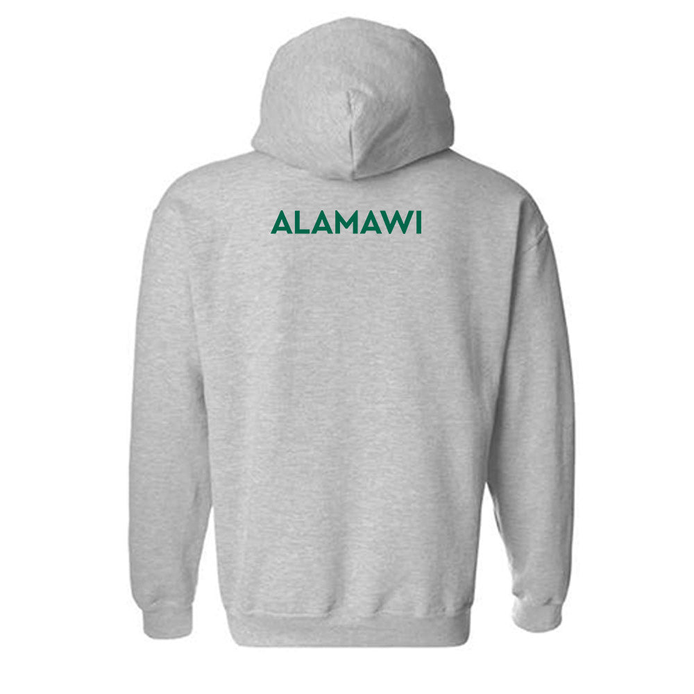 Illinois Wesleyan - NCAA Wrestling : Ameer Alamawi - Classic Shersey Hooded Sweatshirt-1