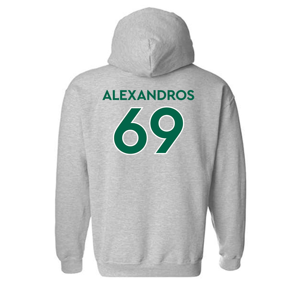 Illinois Wesleyan - NCAA Football : Nici Alexandros - Classic Shersey Hooded Sweatshirt-1