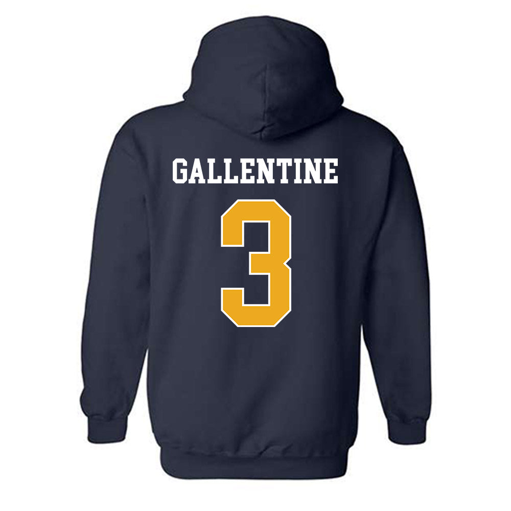 UTC - NCAA Women's Volleyball : Paige Gallentine - Classic Shersey Hooded Sweatshirt