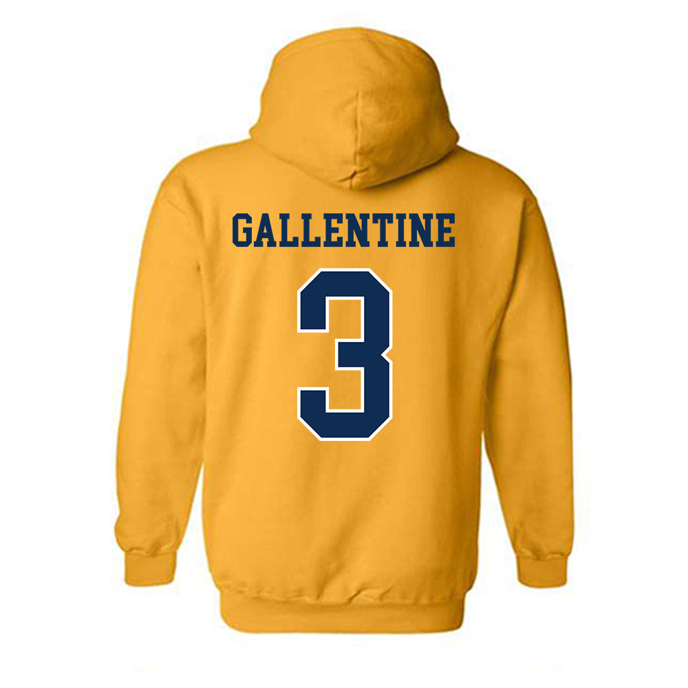 UTC - NCAA Women's Volleyball : Paige Gallentine - Classic Shersey Hooded Sweatshirt